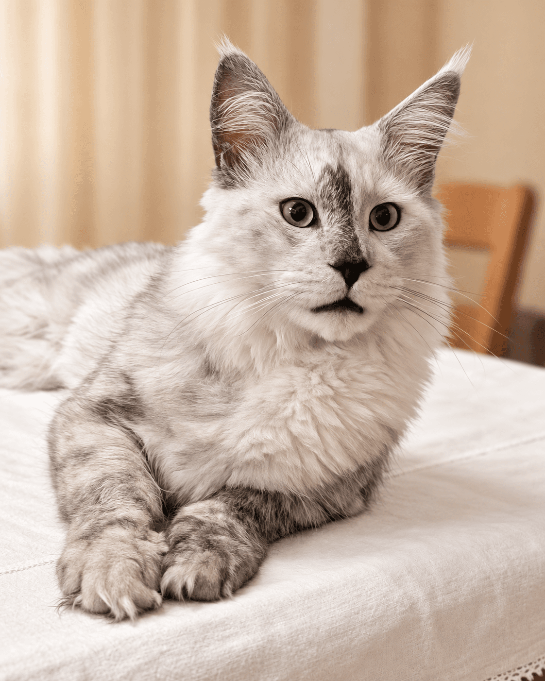 Portrait d’Aramis